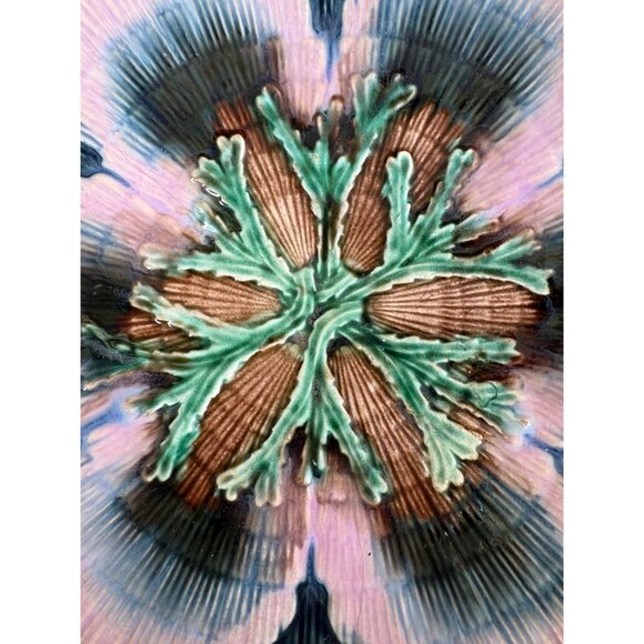 Antique Etruscan Majolica Seaweed Shell Design Plate 6” Collector Gift NOTE Holi - Picture 5 of 16